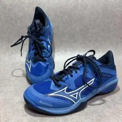 Item thumbnail for item 8a1f0967-97a1-4e49-9bf7-7a8e68341060