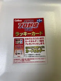 必ずもらえる！カルビープロ野球ラッキーカード2025