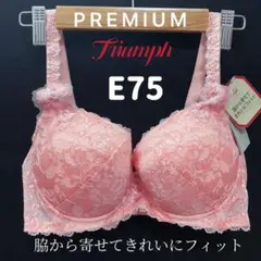 E75 トリンプ プレミアム レッドレーベル0084 ブラジャー #5