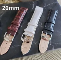 20mm クロコダイル風バンド 3色セット