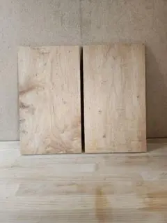 Item thumbnail for item a45f5540-5820-44b6-a6bc-19a3ffebeb59