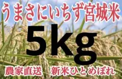 【農家直送】宮城県 新米 ひとめぼれ 米 5kg