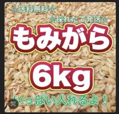 Item thumbnail for item 5e78db91-50e0-49f3-b3bb-2374194c9aa7