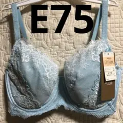 Wing/Wacoal ウイング/ワコール レシアージュ ブラジャー E75