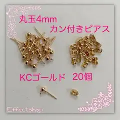 Item thumbnail for item 12d82e7c-43a2-4d73-957c-e11312eae93d