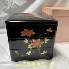 6.5 三段重 鉄仙　黒