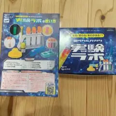 チャレンジ3年生　実験ラボ
