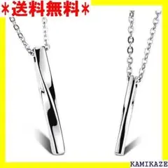 ☆ ネックレス レディース メンズ ステンレス 流線 ツイ ユーロコハク 119