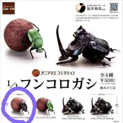 アニマリエ コレクション 1/1フンコロガシ クロガネタマオシコガネ