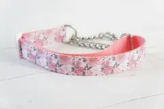 Item thumbnail for item 19e6ac16-a620-427f-9f43-a25387438a16