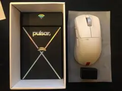 【使用日数１日】pulsar Xlite V3es Size2