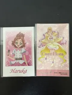 プリキュア展 エポスカード 特典 キュアフローラ ポラショットコレクション