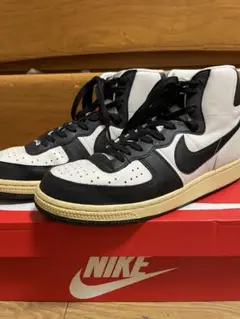NIKE TERMINATOR HI PHANTOM/BLACK ターミネーター
