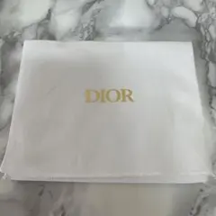 ★DIOR巾着