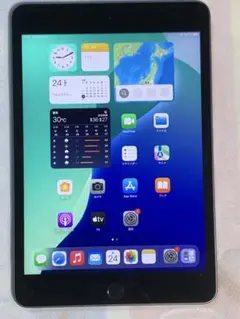 iPad mini 5 Wi-Fi 256GB スペースグレイ　バッテリー90%