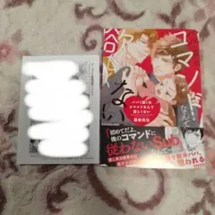 【初版・特典あり】パパ(仮)はコマンドなんて欲しくない
