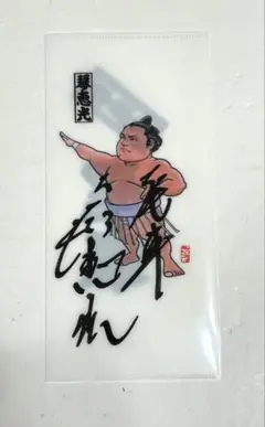 大相撲　琴恵光　サイン入りミニクリアファイル　尾車親方　SUMO