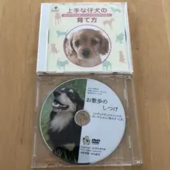 上手な仔犬の育て方、お散歩のしつけ