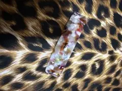 Item thumbnail for item c434e4c0-bd79-48c9-b48d-706b5a1bc34b