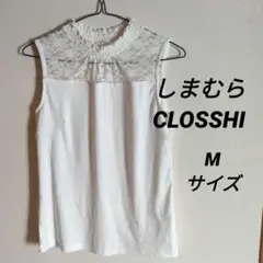 Item thumbnail for item f2086768-94c7-4180-a721-97f0e1ee3702