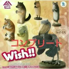 朝隈俊男 Wish!! アニマルライフ box 8個入 /動物 フィギュア 模型 朝隈俊男 Wish!! アニマルライフ box 8個入 /動物 フィギュア