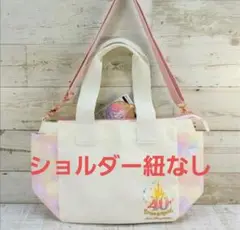 美品 東京ディズニーリゾート 40周年限定 ショルダーバッグ TDL TDS