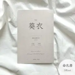 ❁⃘ 命名書 ファブリック 3枚セット　ハガキサイズ（A4へ変更追加可）