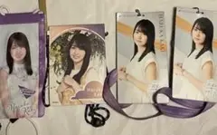 Item thumbnail for item 4f623475-5154-417d-b910-d8f46c9c069f