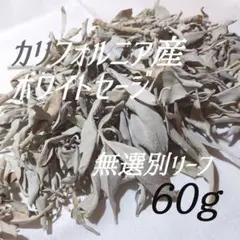 カリフォルニア産 ホワイトセージ/無選別リーフ 60g