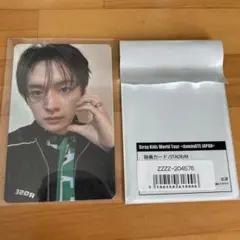 straykids エコパスタジアム　リノ　特典dominATE