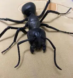 クロオオアリ 蟻 ガチャガチャ いきもの大図鑑 アリ
