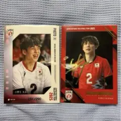 男子バレー日本代表 小野寺大志 高橋健太郎 枚数限定生写真カード含 4枚セット