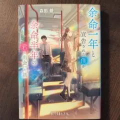余命一年と宣告された僕が、余命半年の君と出会った話