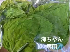 Item thumbnail for item 24860856-0808-4710-9df0-ef70cbf73db4