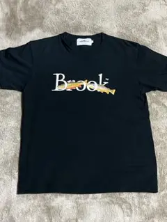 Brook 24ss fish T