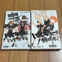 ハイキュー!! ハイカラ!! 排球本! セット