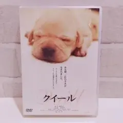 クィール DVD