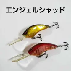 ノリーズ エンジェルシャッド
