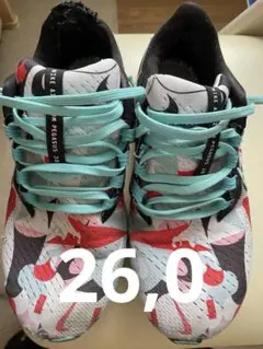 NIKEナイキ　エア ズーム ペガサス 38 TOKYO