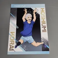 星海　ポスカ