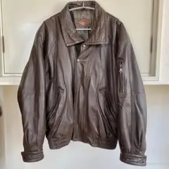 Item thumbnail for item b1dfb4bf-e288-4a36-97ea-03e78065047c