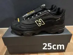 【新品】New Balance M1000BBV 25.0ニューバランス