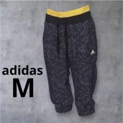 Item thumbnail for item c80ae26c-b8d3-4d77-8208-58ebe5cdd3b0