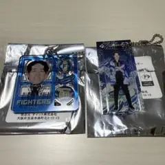 ファイターズ 北山亘基