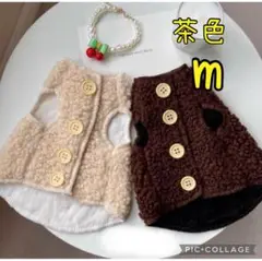 Item thumbnail for item c61c0af1-76aa-4fd4-bffd-6f3e87608de8