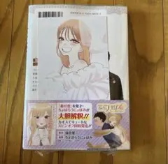 その着せ替え人形は恋をする(15)(完) ゲーマーズ 特典 ブロマイド 非売品