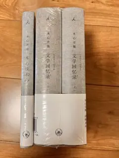 簡体字　中国語 木心全集 文学回忆录