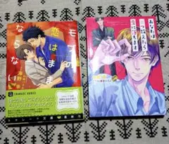 BL小説　海野幸　2冊