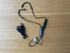 Item thumbnail for item d378ec5f-fc9b-4dc2-a6f4-b7a1543586f6