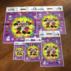 ディズニーリゾート お土産袋 B